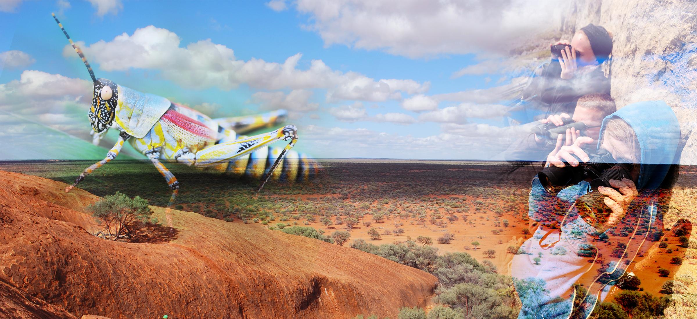 WE_Header_2 WE_Header_2