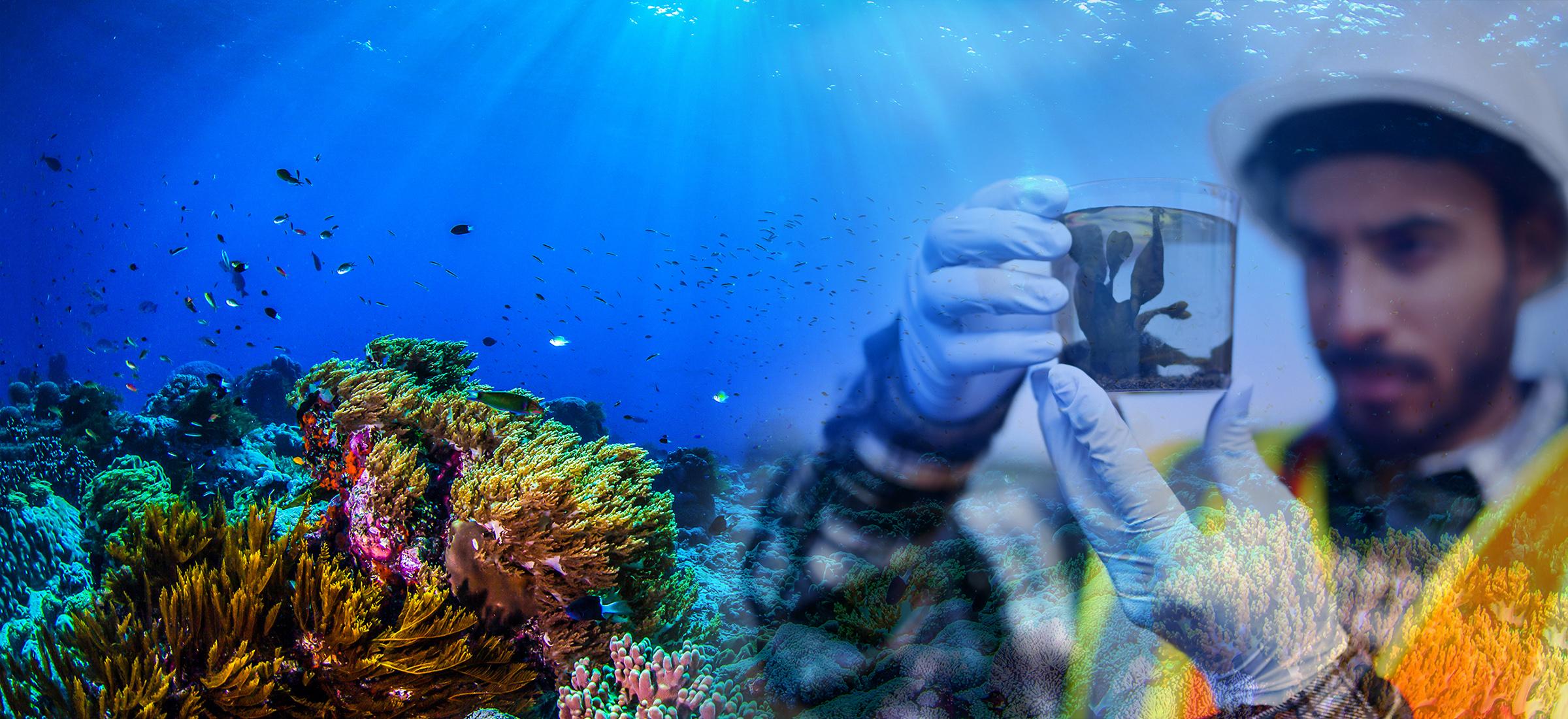 WE_Header_7