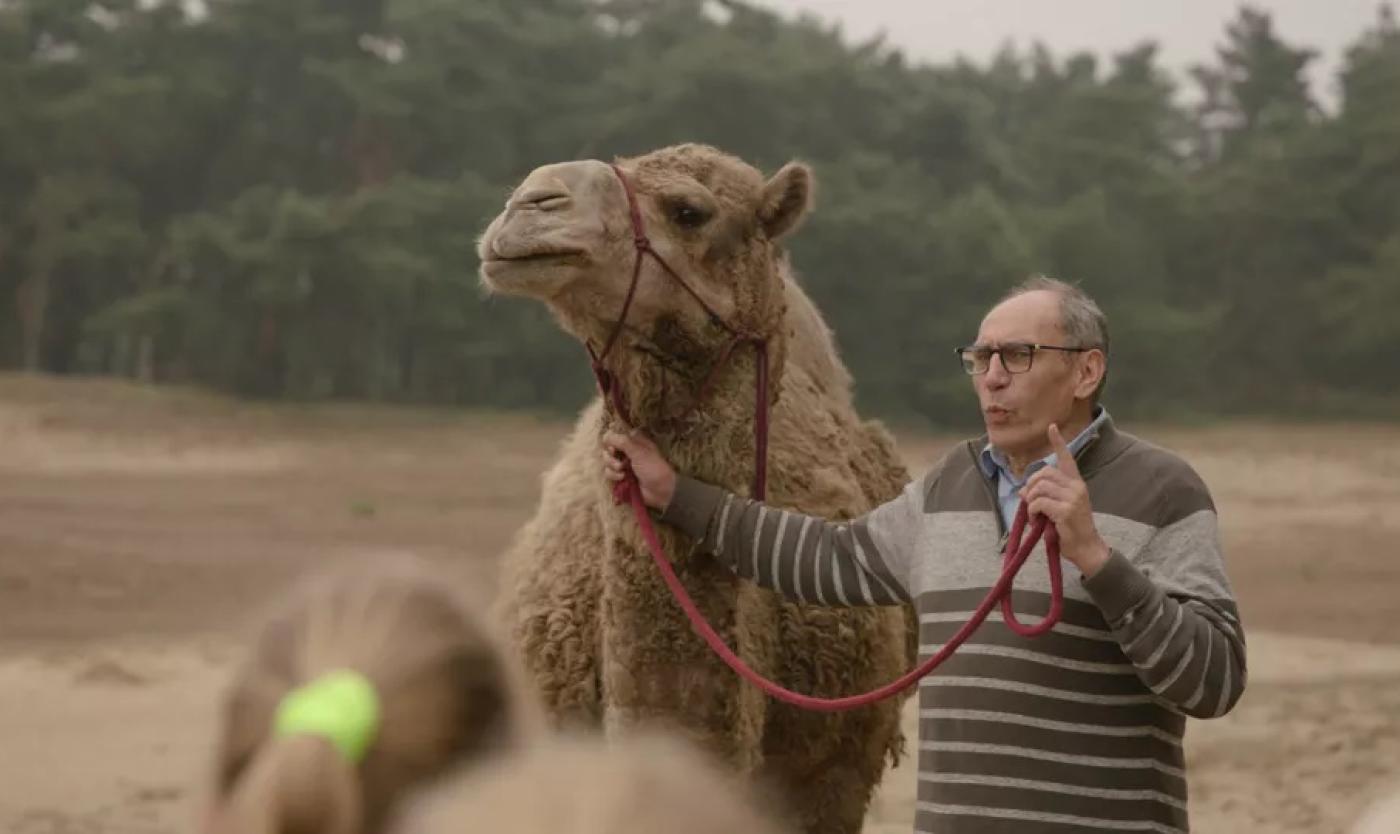 Knappe Koppen met Serge Muyldermans