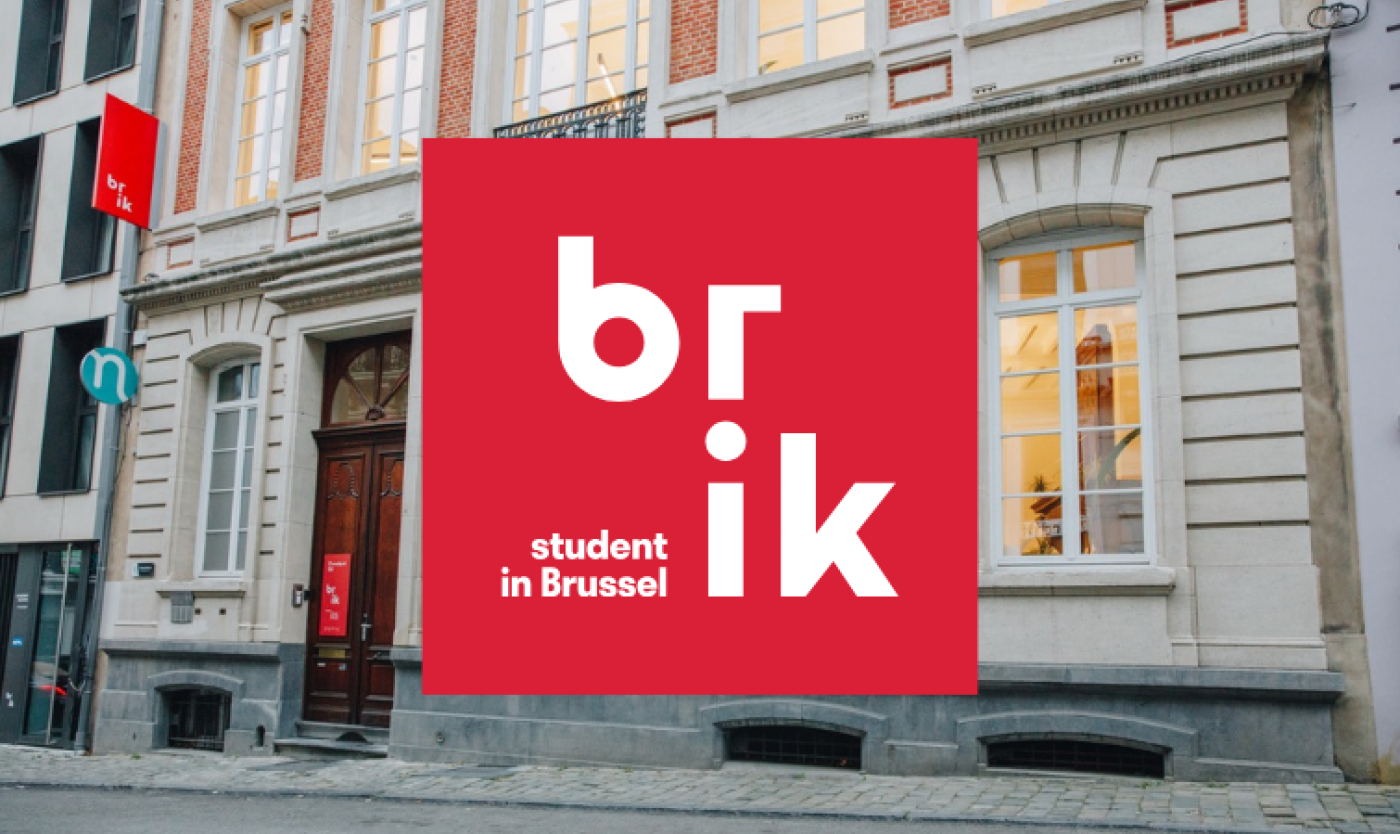 Logo Brik