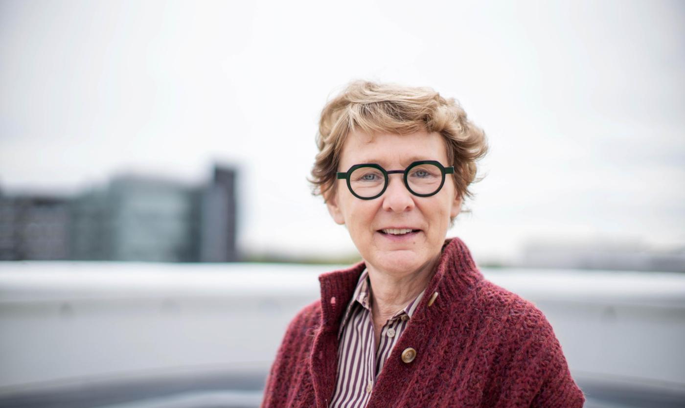 Dominique Maes, Opdrachthouder Health Valley