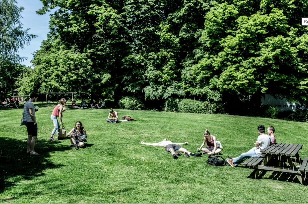 Studenten genieten van de zon op het gras 