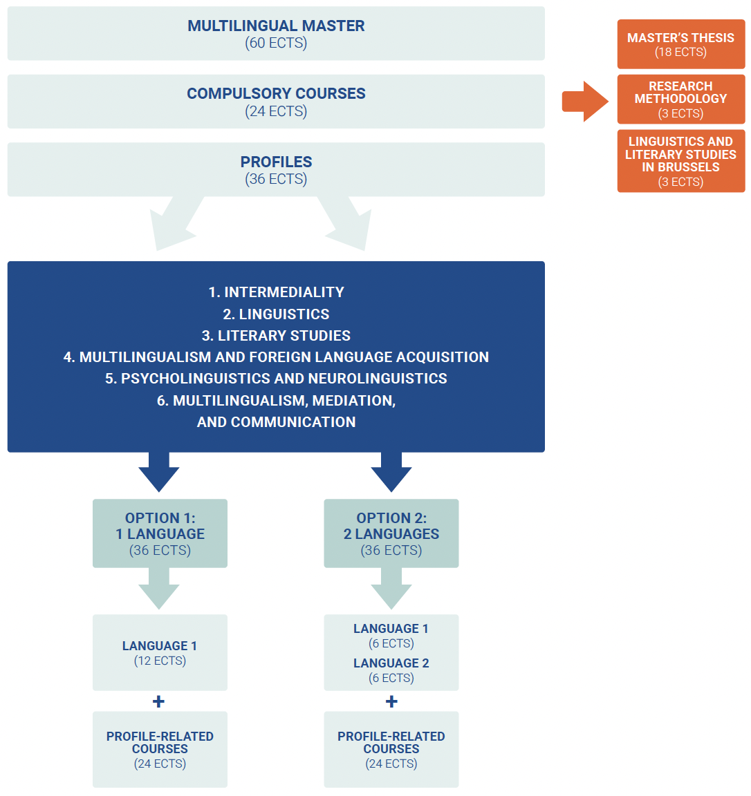 Info graphic depicting the programme structure of the MA in Linguistcis and Literary Studies at Vrije Universiteit Brussel