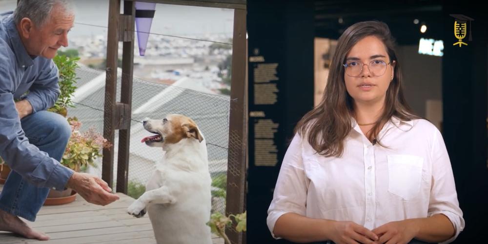 How can dogs fight cancer screenshot Youtube How can dogs fight cancer screenshot Youtube