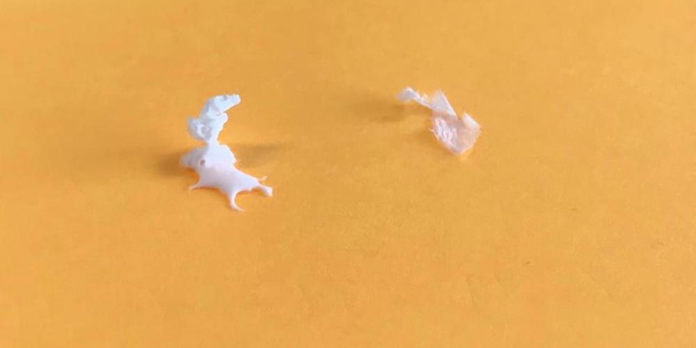 2024_BIOPLASTIC_HALOFERAX_MEDITERRANEI_VUB