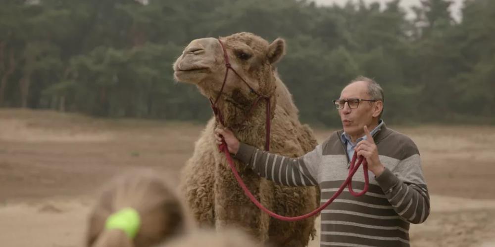 Knappe Koppen met Serge Muyldermans